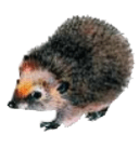 Задание рисунок 4