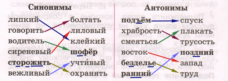 найди и соедини линиями синонимы