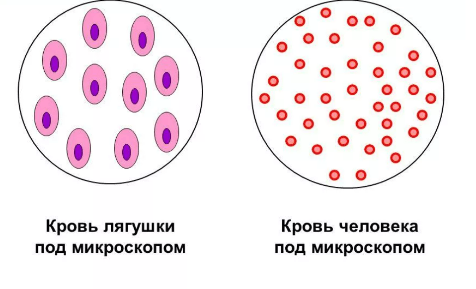 Решение рисунок 1