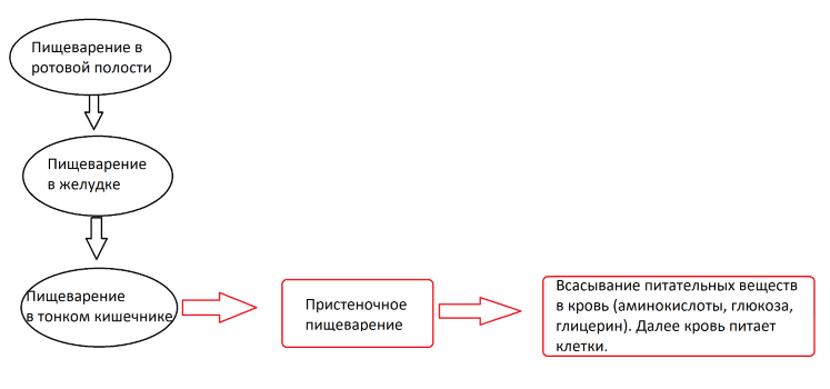 Решение рисунок 1