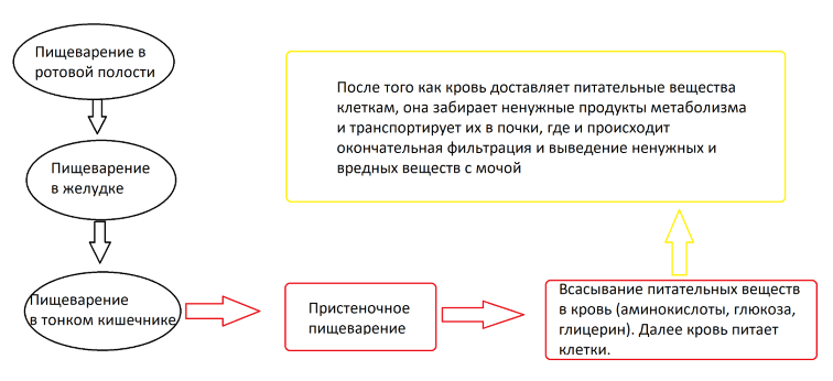 Решение рисунок 1