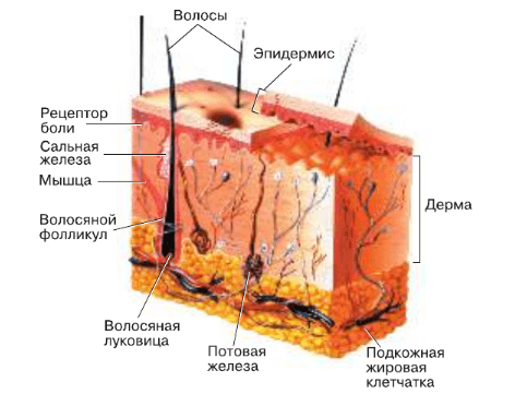 Решение рисунок 1