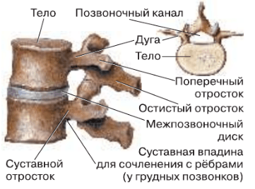 Решение рисунок 1