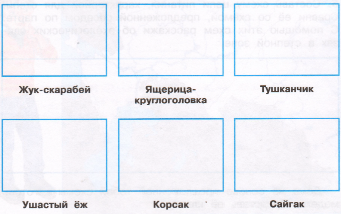 Вырежи и наклей изображения условных обозначений из приложения в соответствующие прямоугольники