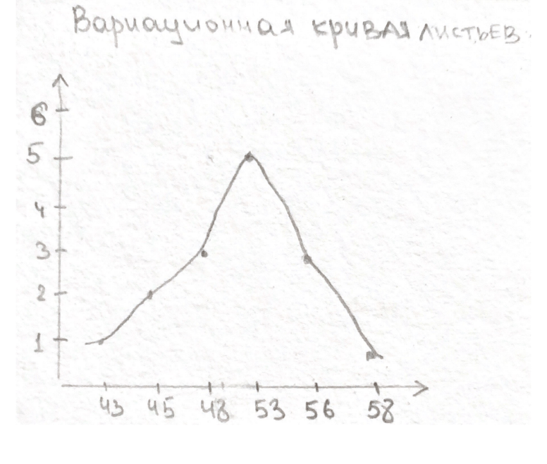 Решение рисунок 2