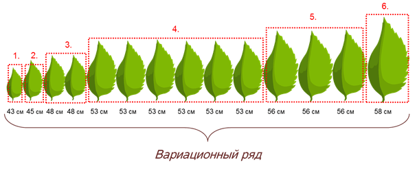 Решение рисунок 1