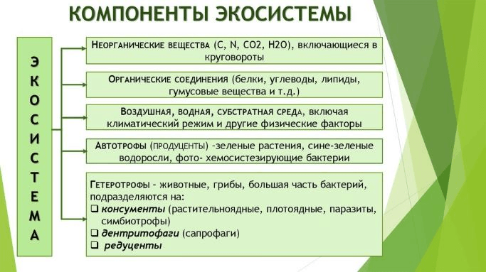 Решение рисунок 1