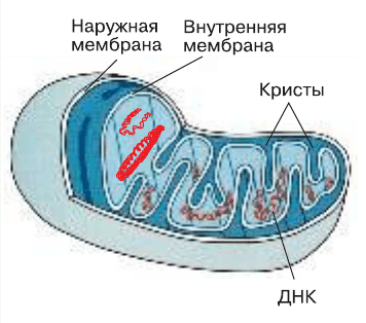 Решение рисунок 1