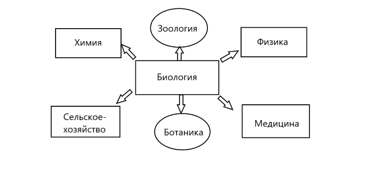 Решение рисунок 1