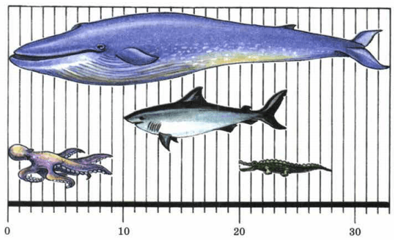 Задание рисунок 1