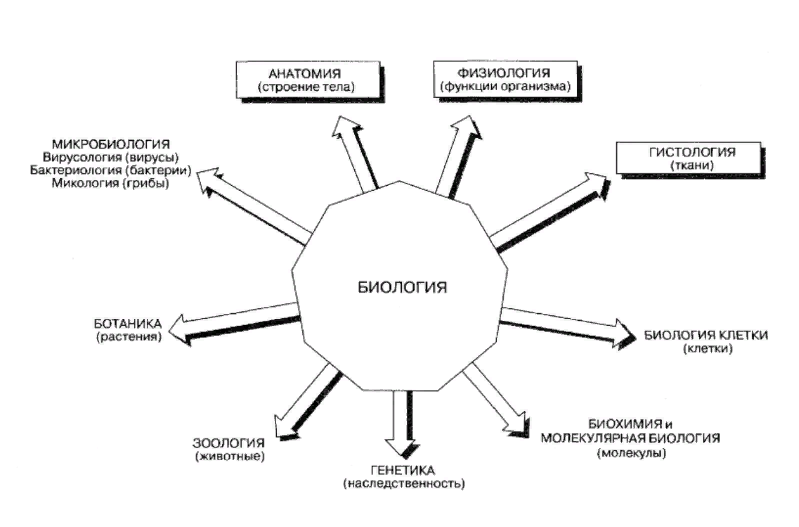 Решение рисунок 1