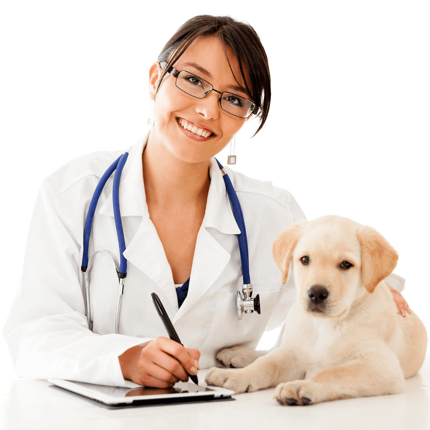 Решение рисунок 2