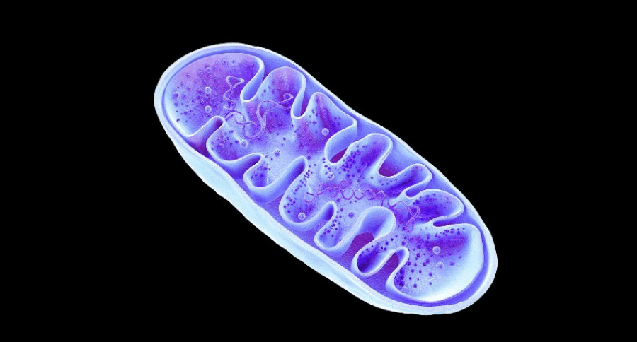 Решение рисунок 5