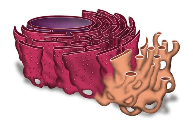 Решение рисунок 4