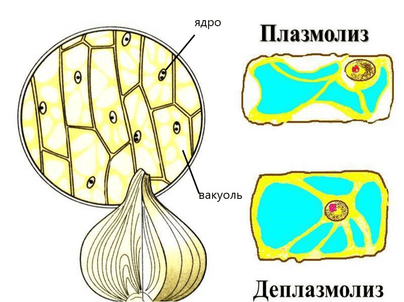 Решение рисунок 1