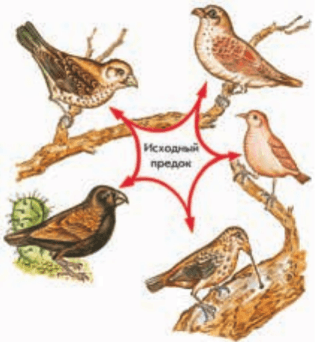 Задание рисунок 1