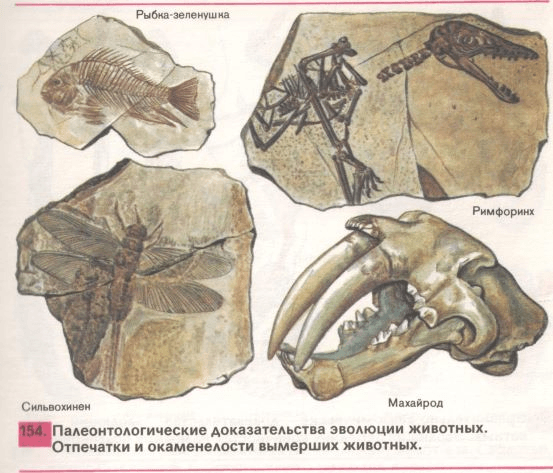 Решение рисунок 4