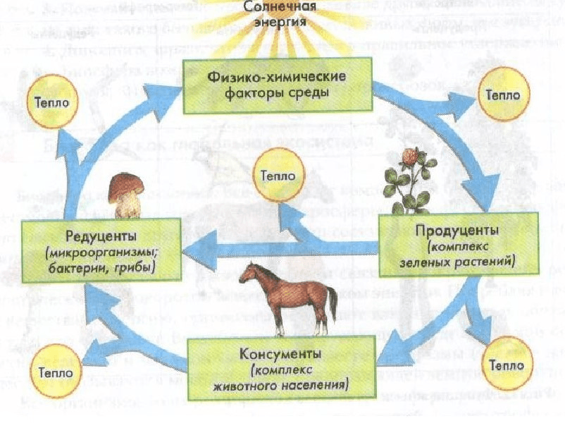 Решение рисунок 1
