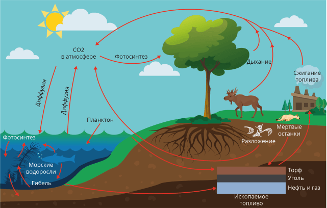 Решение рисунок 1
