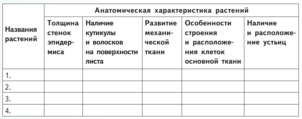 Задание рисунок 1