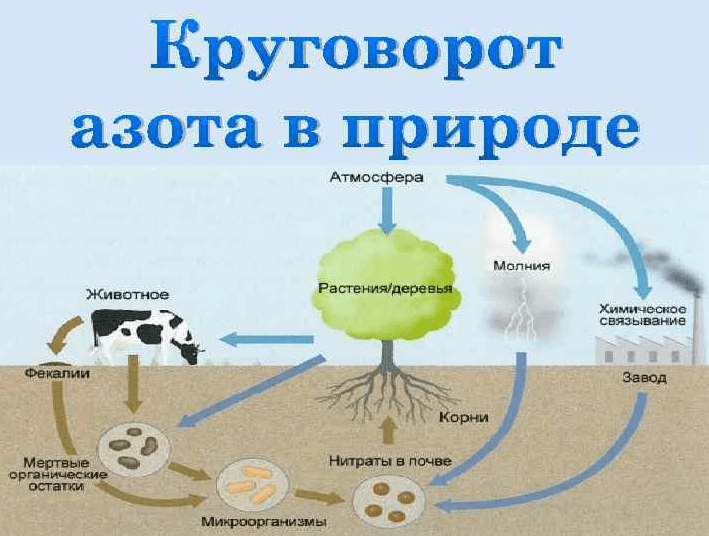 Решение рисунок 1