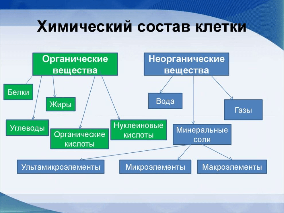 Химический состав клетки таблица. Схема химических веществ в составе клетки. Химический состав клетки 9 класс биология таблица. Химический состав клетки 5 класс биология таблица.