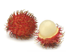 Решение рисунок 1