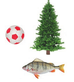 Задание рисунок 1