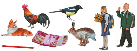 Задание рисунок 1