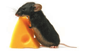 Задание рисунок 1