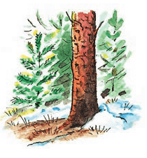 Задание рисунок 1