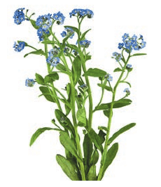 Задание рисунок 1