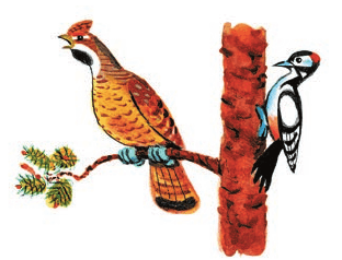 Задание рисунок 1