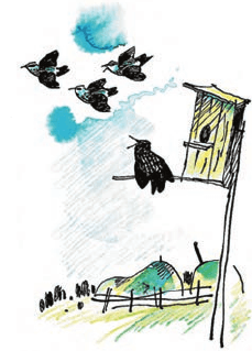 Задание рисунок 1