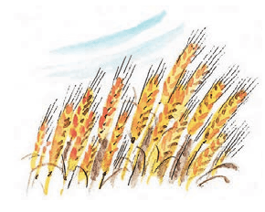 Задание рисунок 1