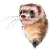 Задание рисунок 3