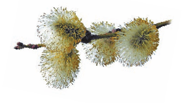 Задание рисунок 1