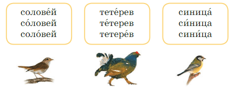 Задание рисунок 1