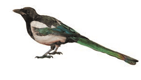 Задание рисунок 1