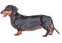 Задание рисунок 2