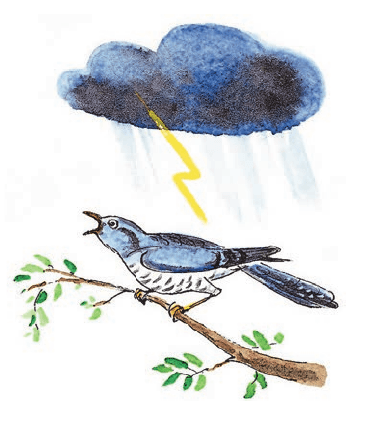 Задание рисунок 1