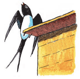 Задание рисунок 1