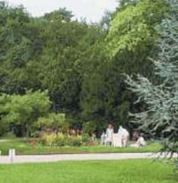 Задание рисунок 2