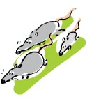 Задание рисунок 2