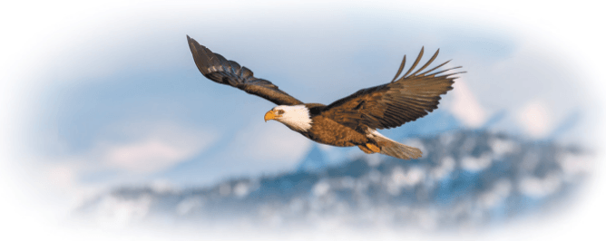 Задание рисунок 1