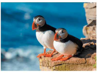 Задание рисунок 2