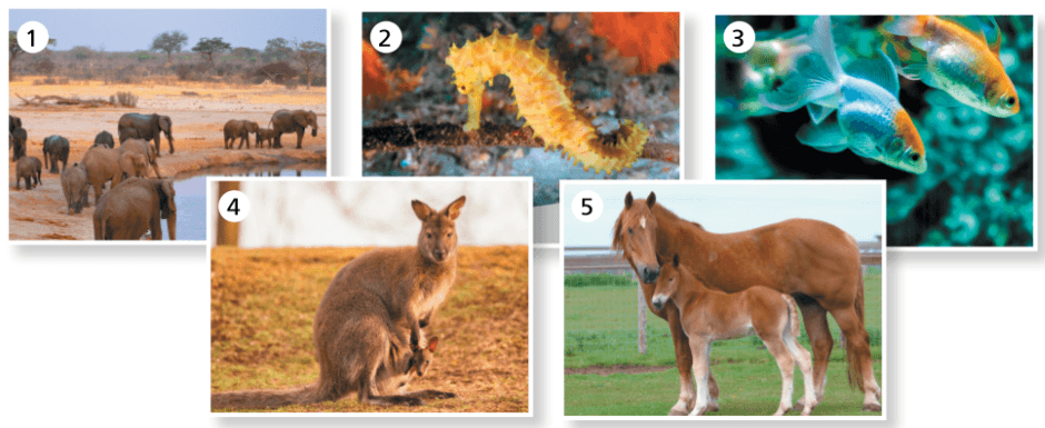 Задание рисунок 1