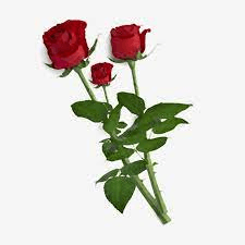 Решение рисунок 3