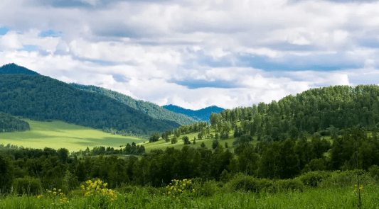 Решение рисунок 1