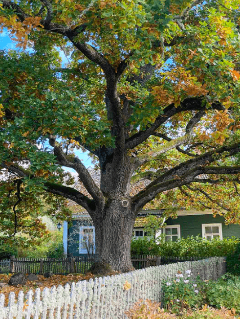 Решение рисунок 3